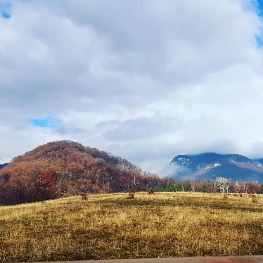 Brancoveanu Glamping Varatici Extérieur photo